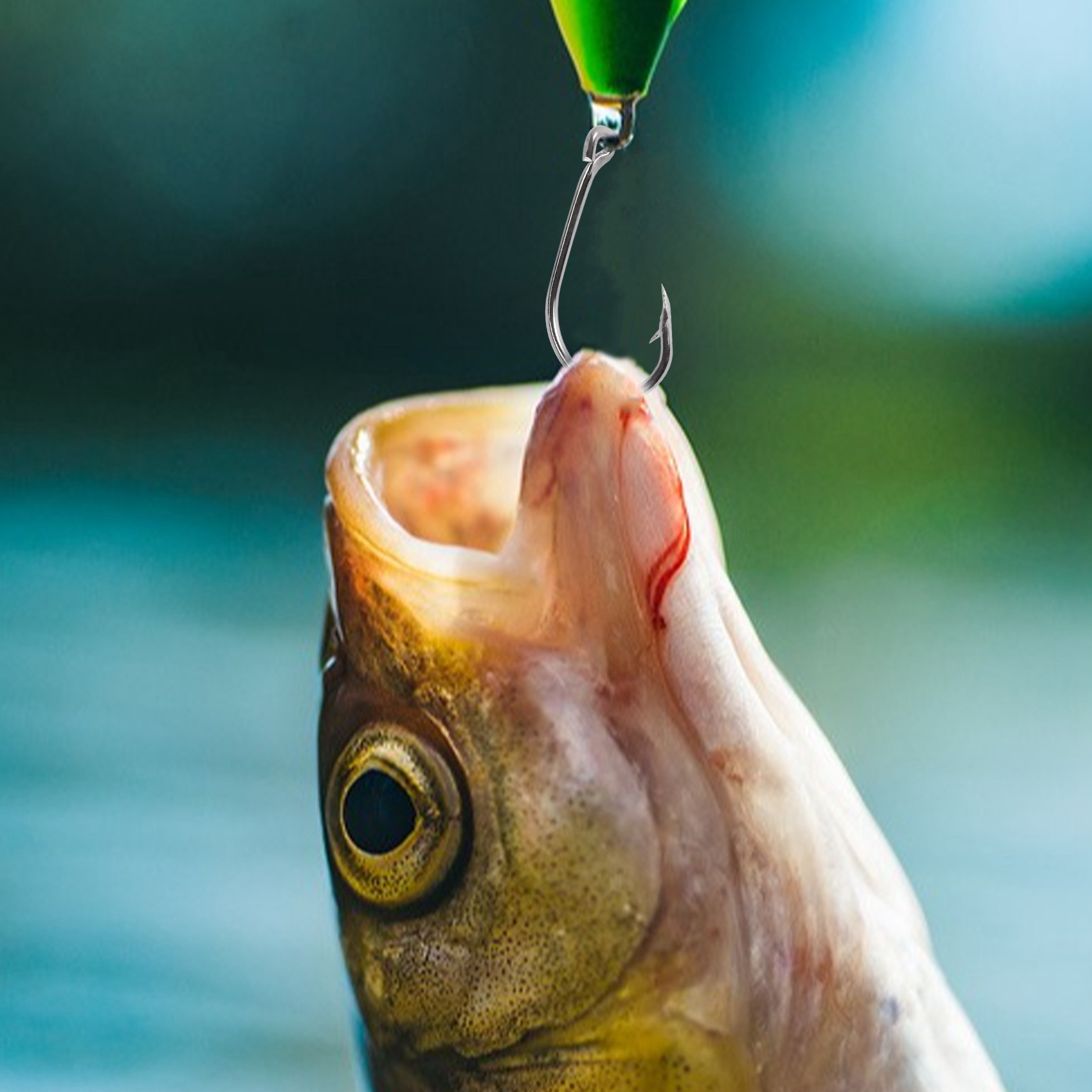 New arrival  500Pcs/Set Mixed  - Fishing Hook Size ulasan dan harga